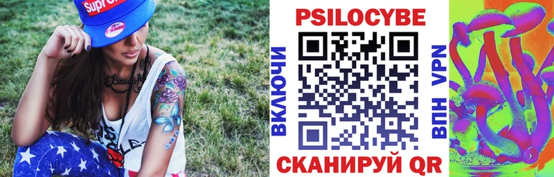 Галлюциногенные грибы мицелий  Купить где  Будённовск 