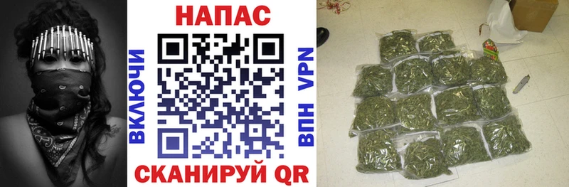 Шишки марихуана марихуана  Купить  Будённовск 